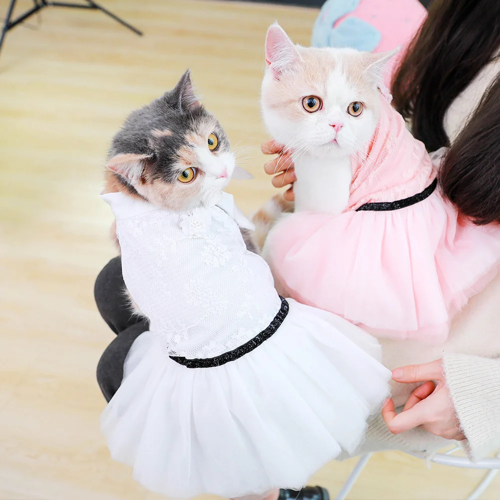 Костюм для домашних животных свадебная одежда кошек домашняя котят