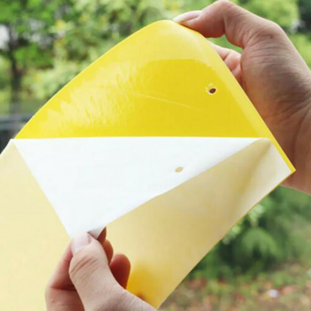 

Monitoring Sticky Board Prevention 20*12.5cm Hanging 10Pcs Yellow Traps