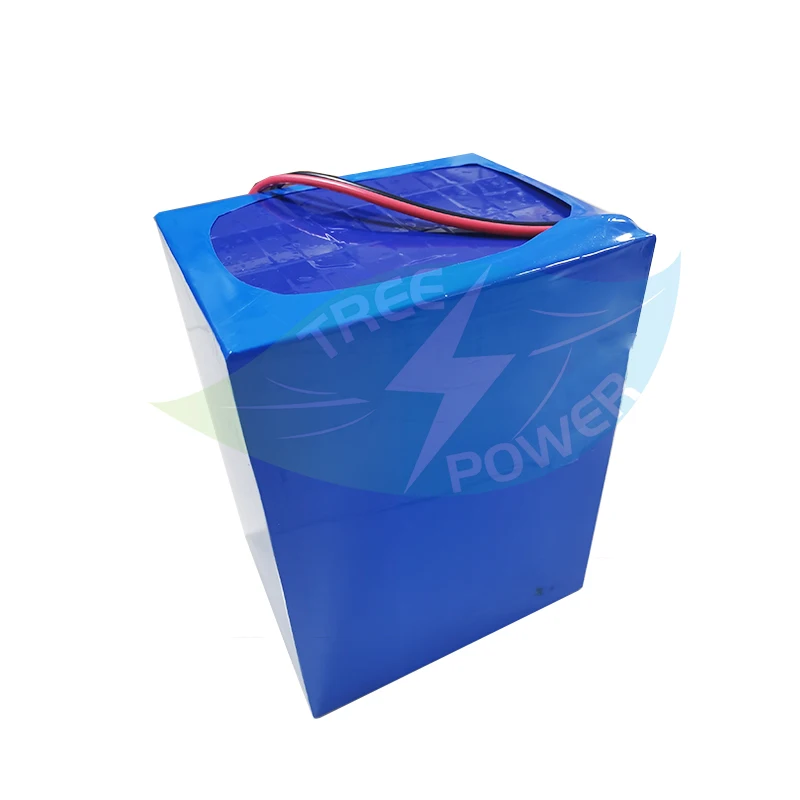 

48V 60AH lithium ion battery BMS li ion battery for 3000w AGV scooter bike Tricycle inverter golf cart boat + 10A Charger