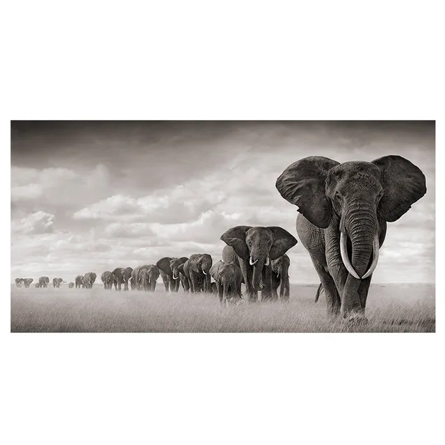 

wall decor African grassland elephant wild animal decorative painting TV background wall living room decoration frameless