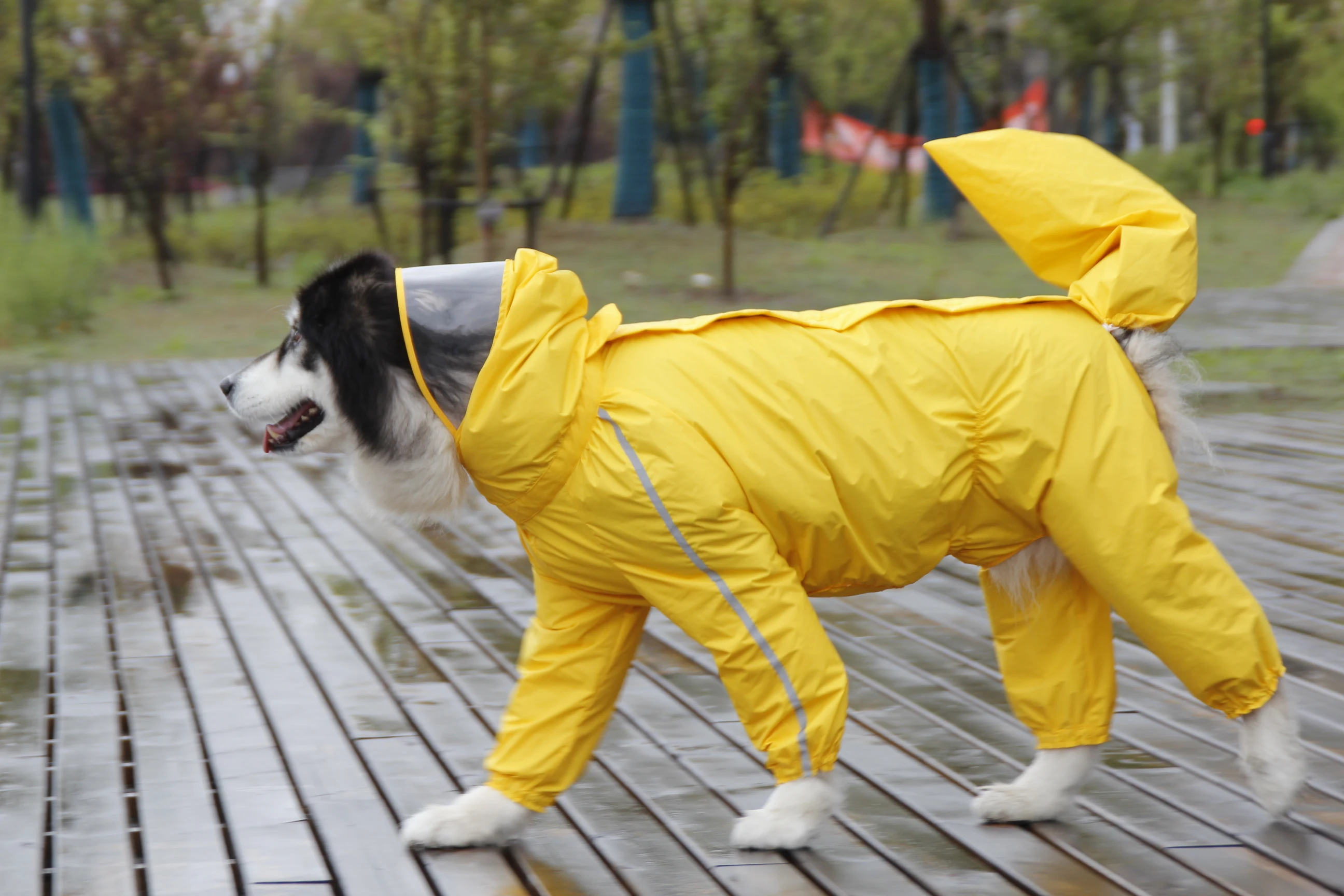 Chubasquero grande para perro, chaqueta impermeable de poli&eacute;ster a rayas reflectantes de seguridad para Golden Retriever, Labrador Husky 8XL-12XL-1