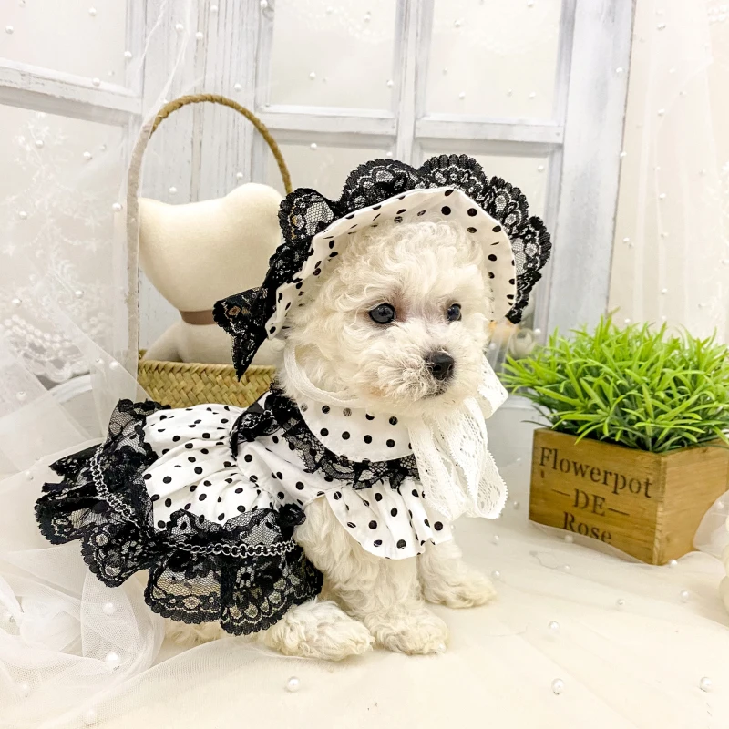 

Pomeranian Wedding Evening Dress Pet Dog Clothes with Hat Poodle Schnauzer Clothing Chihuahua Dog Dresses For Small Dogs Luxury
