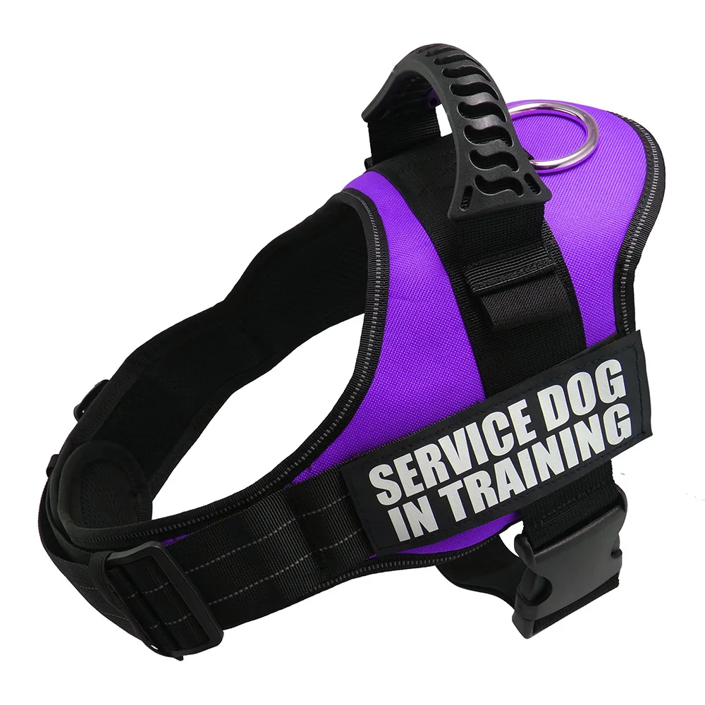 purple K9 поводок для собак, Нейлоновый Регулируемый жилет для маленьких больших собак, чихуахуа, Хаски, ремни для собак, аксессуары для собак, XS-XXL - Цвет: purple