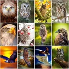 Набор для алмазной вышивки Орл, картина с квадратными стразами 5D, с рисунком животных, Набор для вышивки крестиком из смолы, Декор для дома, подарок