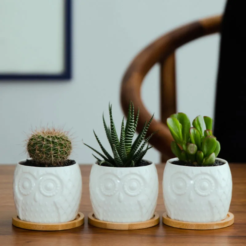 Домашнее украшение мини бонсай белый керамический цветочный плантатор