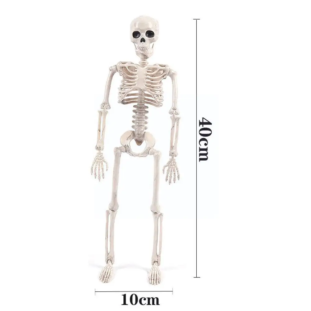Пластиковый скелет для жениха и невесты Имитация человеческого тела череп на