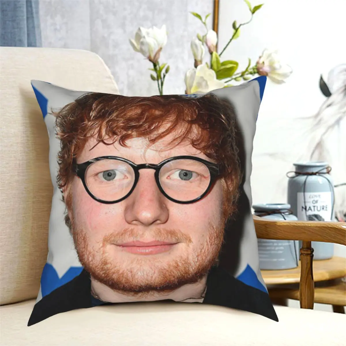 

Ed Sheeran Cushions for Sofa Novelty Cushion Covers Decorative Throw sofa Pillows Cover floor pillow for sofa home