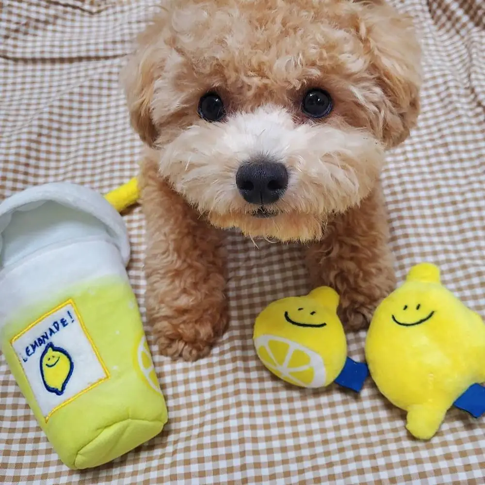 

Ins Hot Korean Lemon Tea Dog Plush Toy Plush Food Dog Toy With Funny Sound Cat Puppy Chew Interactive Toys