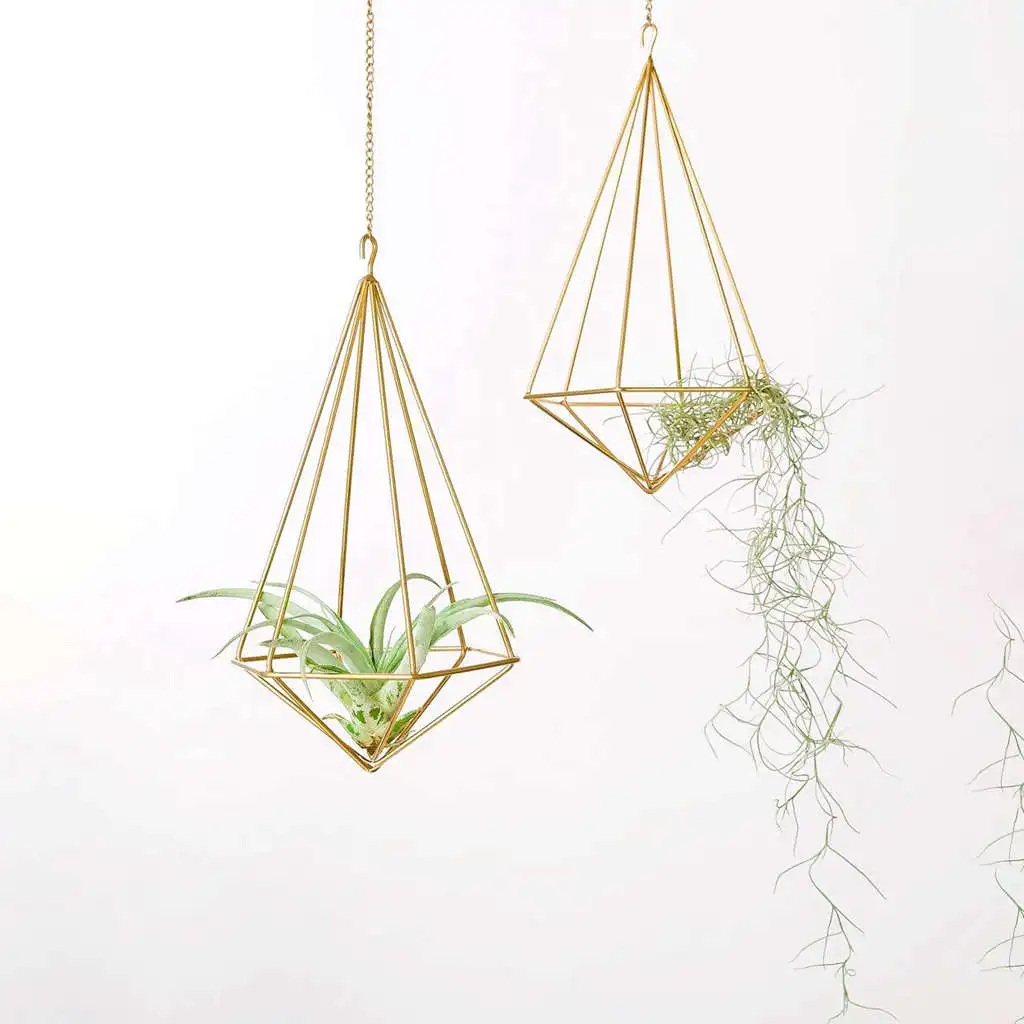 

Hanging Air Plant Holder Modern Geometric Planter With Chain Tillandsia Container Himmeli Wall Decor, Gold