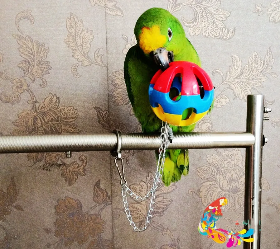 1 шт. игрушка-попугай для домашних животных | Дом и сад