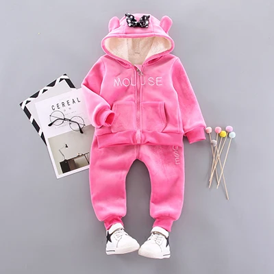 ST010-Rose Теплый комплект одежды для маленьких девочек, зимние комплекты одежды из толстого плюша и хлопка для маленьких девочек, толстовки и штаны Детский комплект детская одежда - Цвет: ST010-Rose