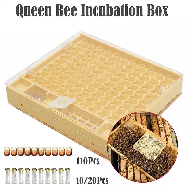 Beekeeping Tools Set Rearing System Cultivating Box 110pcs Plastic Cups Bee Nicot Complete Catcher Cage | Дом и сад