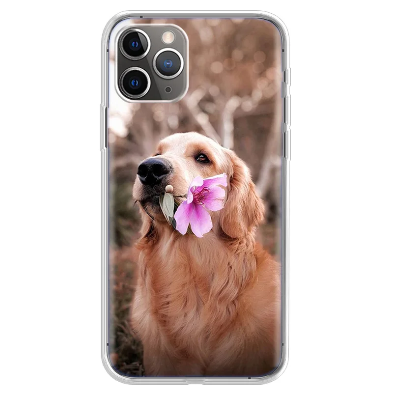 

Golden Retriever Case For iPhone 12 Mini 11 Pro X XS Max XR 7 8 6 6S Plus 5 5S SE 2020 Phone Cases Soft Silicone Back Cover Fund