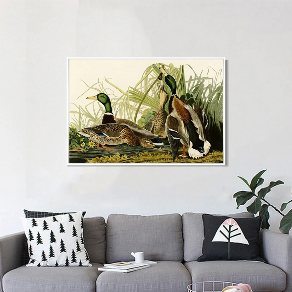 Кряква утка Джон Джеймс Audubon живопись холст искусство печать плакат Настенная