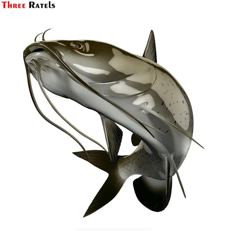 

Наклейки на автомобиль «Тройная звезда», «окунь рыбы», «Рыбалка»