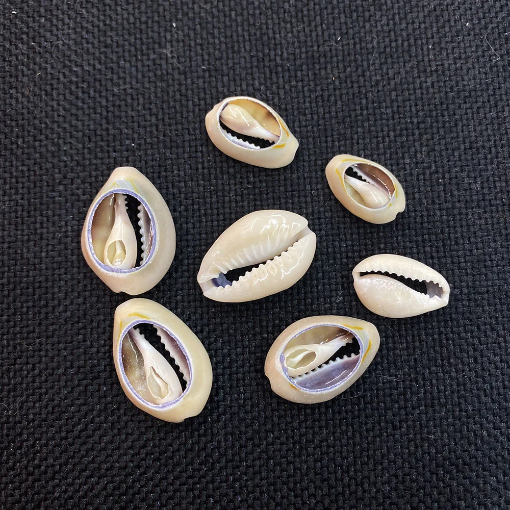 Подвеска из натуральных ракушек Размер 15-25 мм для изготовления ювелирных изделий