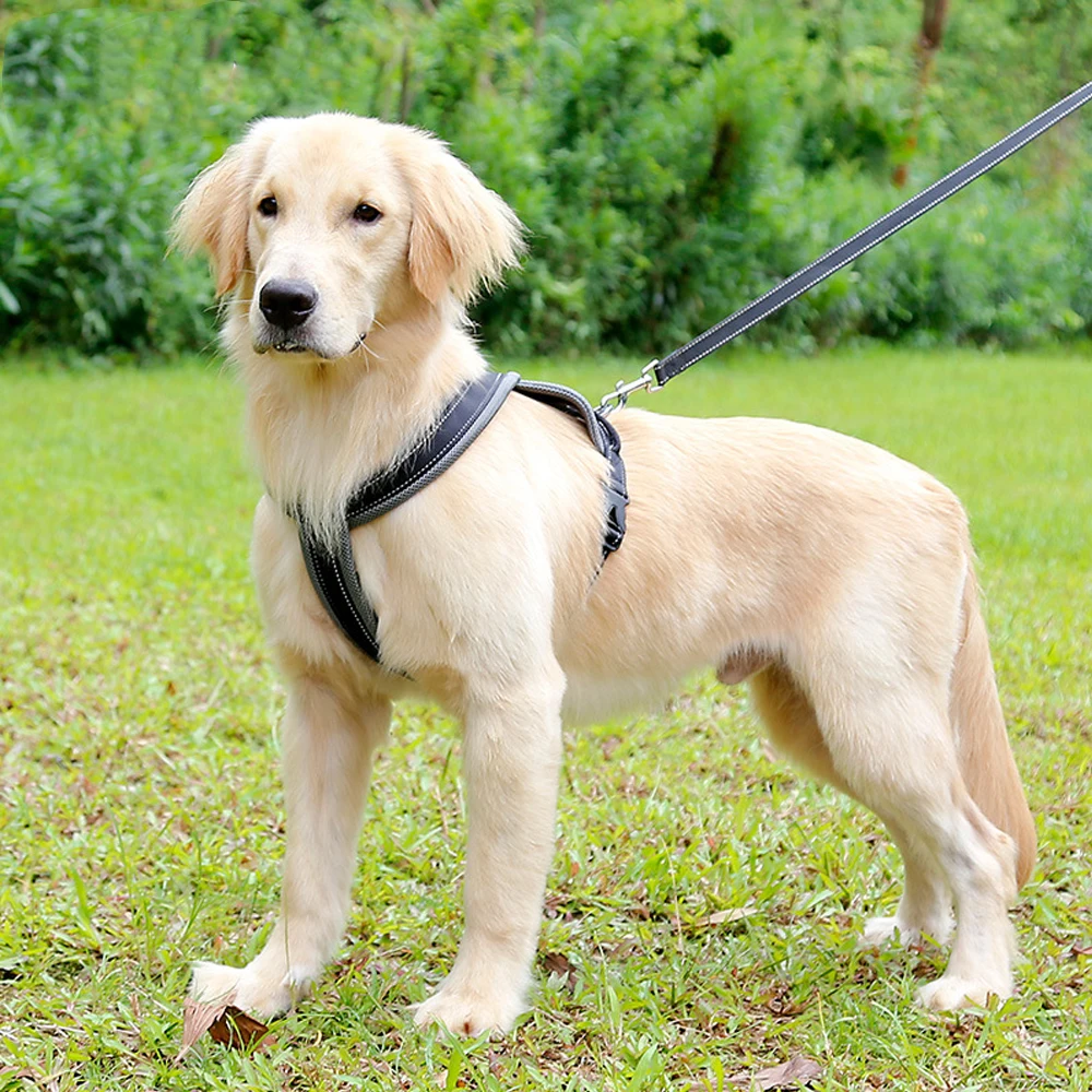 Светоотражающая нейлоновая шлейка для собак регулируемый дышащий жилет с