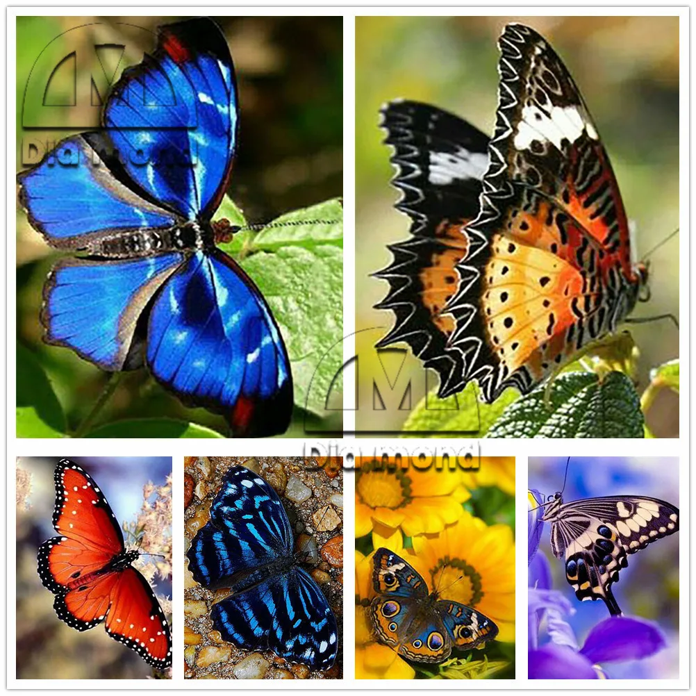 

5D Diy Diamond Painting Butterfly Insect Full Drill Diamond Embroidery Cross Stitch Mosaic Animal Flower Home Decor Wall Sticker