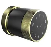 Дистанционное управление через приложение TTLock Bluetooth сканер отпечатка пальца