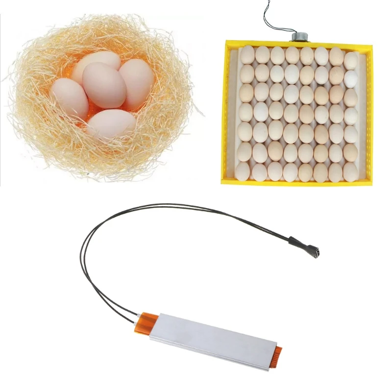

Heating Incubator Heater Element Plate For Eggs Incubator Accessories 110V 220V P82D