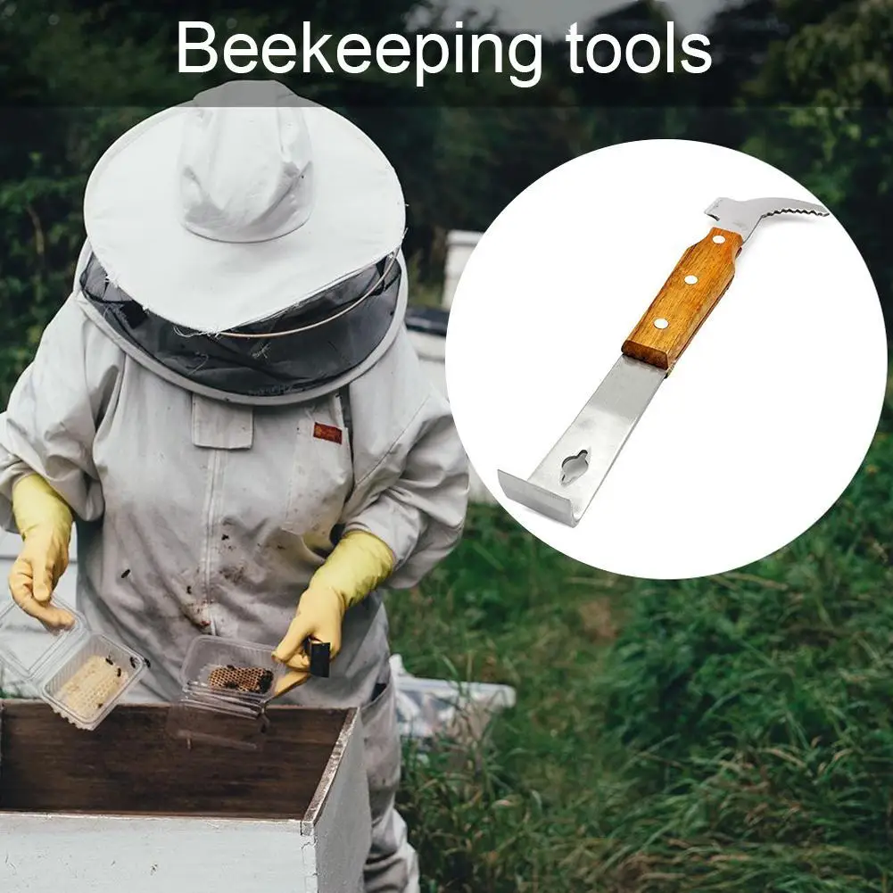 

Beekeeping Tools Bee Scraper For Beekeeper Take Honey Beekeeping Apiculture Equipment Tool Uncapping Bee Hive Knife K9T1