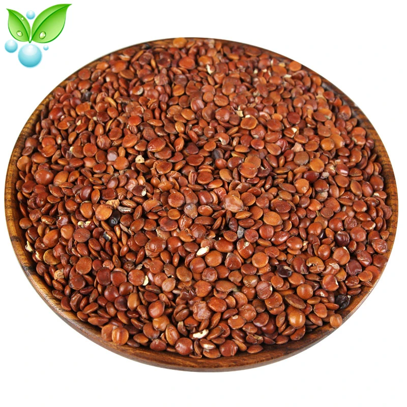 

Suan Zao Ren,Jujube Seed,High Quality Suan Zao Ren,Semen Ziziphi Spinosae, Wild Jujube Sour Jujube Fruit,Anti-Aging Sedative