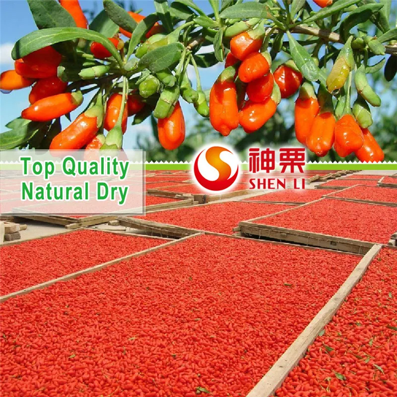 Первоклассная китайская сухая ягода Годжи Волчья натуральная здоровая добавка