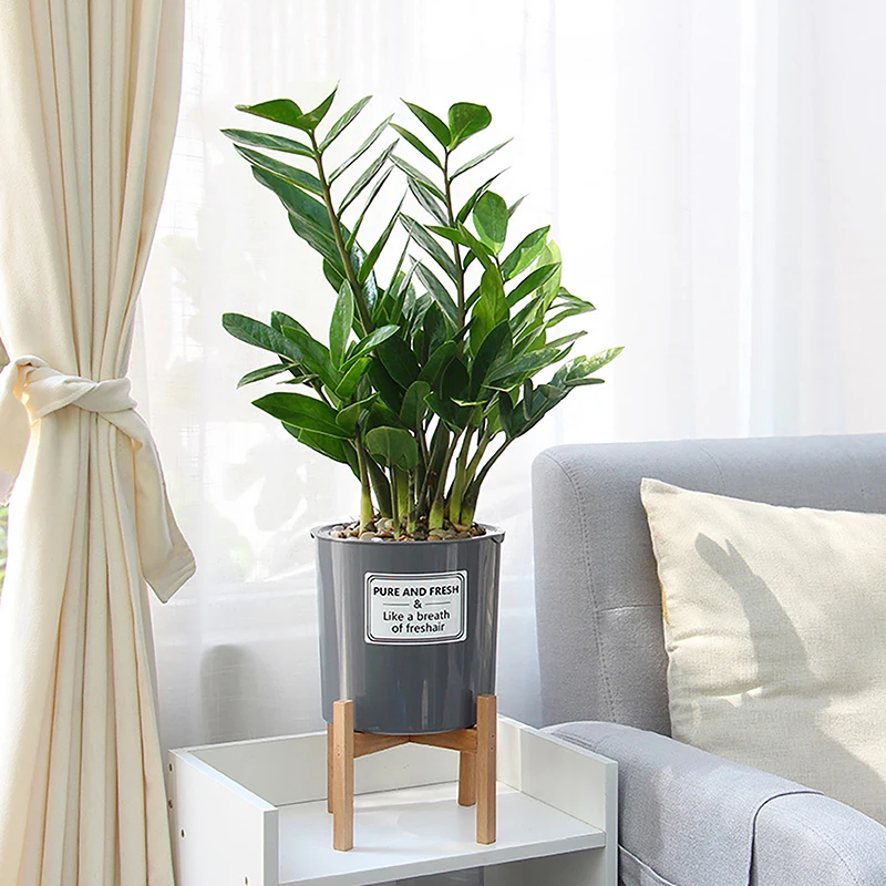 Креативная деревянная рамка набор горшок для растений автоматический