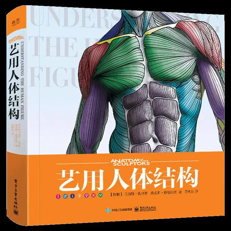 3D HD Art Human Body Books Sculpture game character design basic tutorial books drawing Human form, structure, skeletal muscle