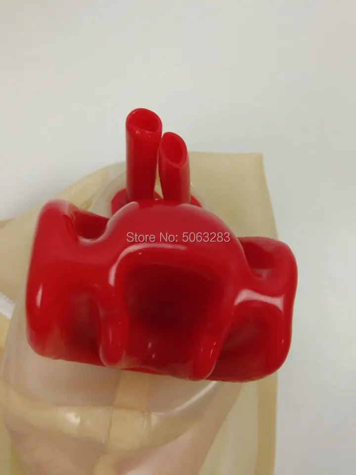 Прозрачная латексная маска с красными чайками трубка для носа под заказ |