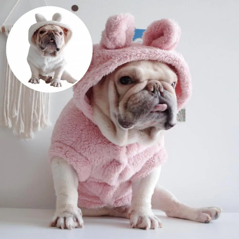

Practical Excellent Puppy Kitten Coat Costume Coral Fleece Dog Clothes Eye-catching for Schnauzer