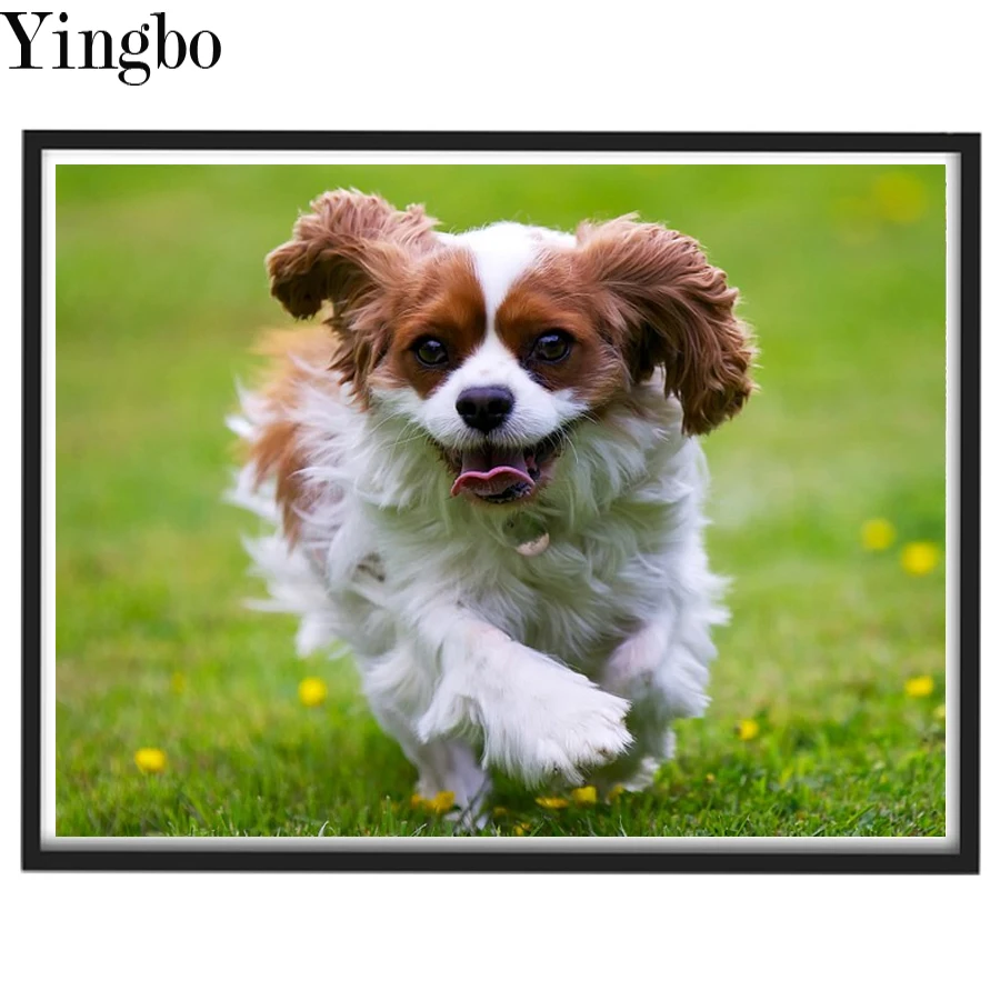 

Diamond Painting Cavalier King Charles Spaniel Mosaic Home Decor Diamond Art Animal Full Square Kits Embroidery Sale Gift 5d Diy