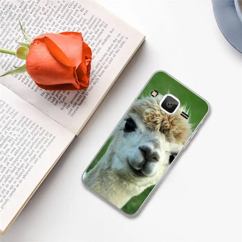 

Lama Llama Alpacas Animal Phone Case For Samsung Galaxy J2 J4 J5 J6 J7 J8 2016 2017 2018 Prime Pro plus Neo duo