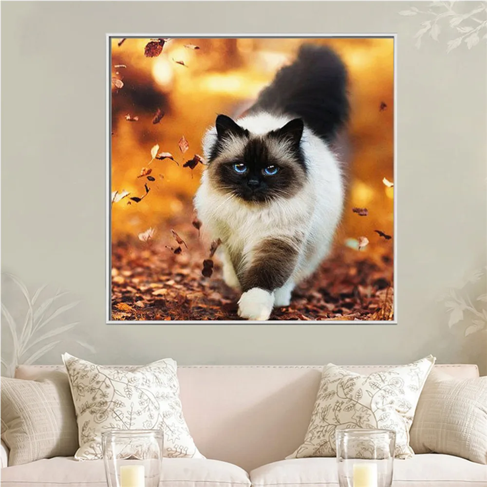 Алмазная живопись Huacan полный квадрат/круглый Новое поступление кот алмазная