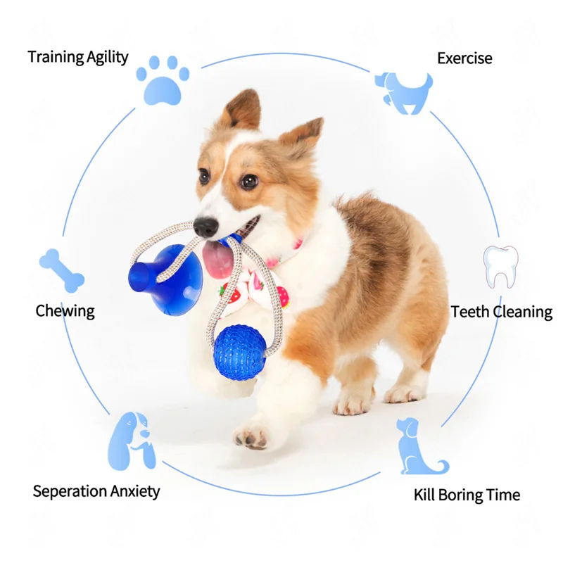 Многофункциональная молярная укуса для домашних животных резиновая игрушка
