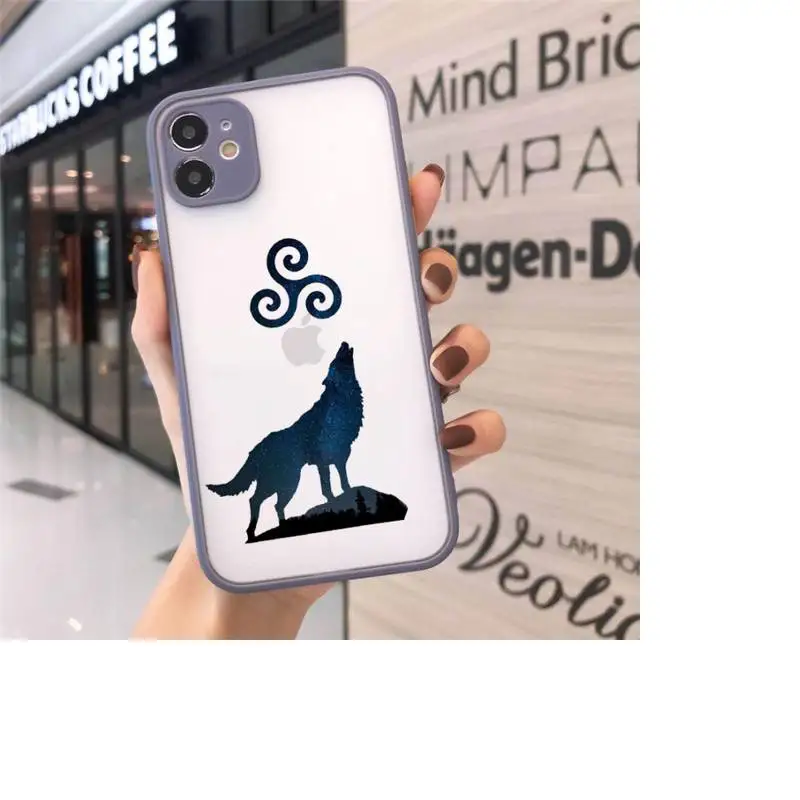 

Dylan O'Brien Teen Wolf cool Phone Cases matte transparent For iphone 7 8 11 12 plus mini x xs xr pro max cover