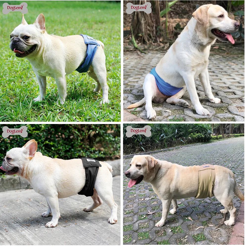 1/3 шт. водонепроницаемые Трусы-шорты для мужчин и женщин | Дом сад