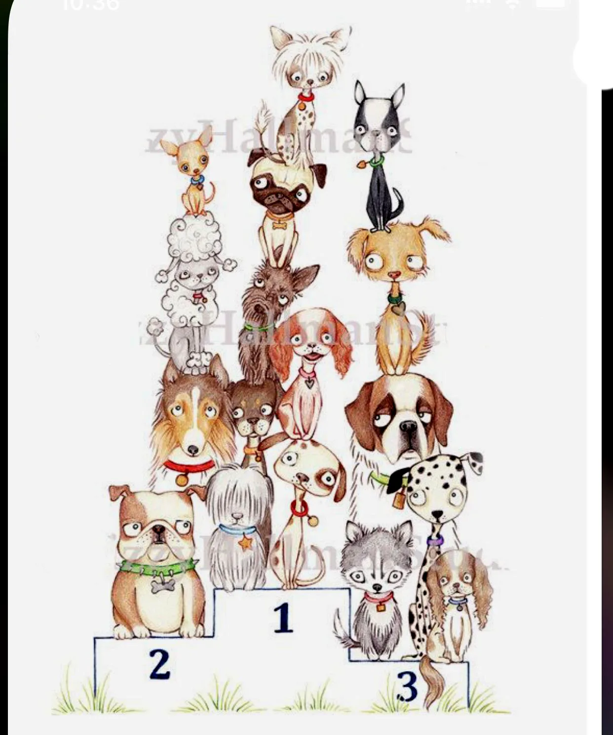 

Dog Champion Award Transparent Silicone Rubber Stamp And Die Sheet Cling Scrapbooking DIY Cute Pattern Photo Album