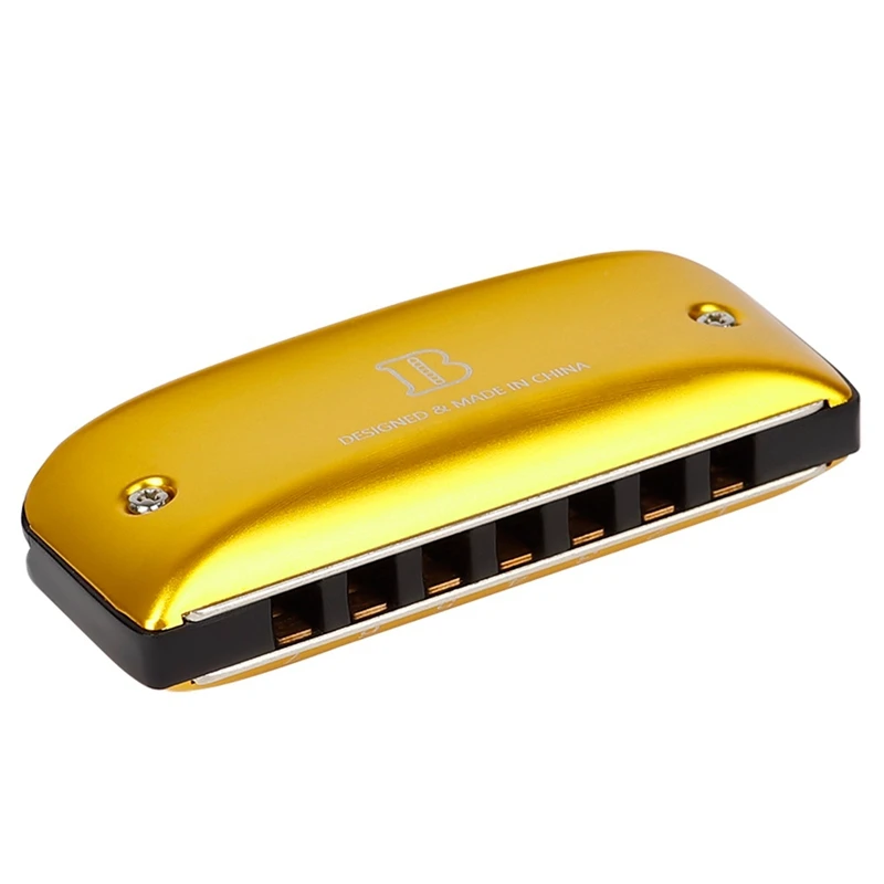 

Blues Harmonica 7 Holes A-Key Beginner Diatonic Harmonica for Kids with Lanyard