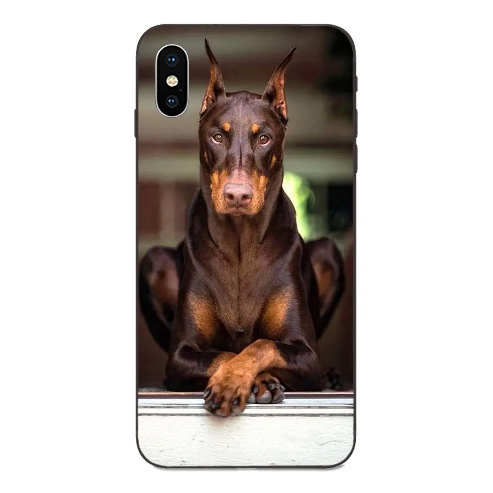 Soft Case Protective For Galaxy A10S A20S A2 Core A30S A40S A50S A70S A90 5G M10 M30S M40 Note 10 Plus Gold Pet Dog | Мобильные