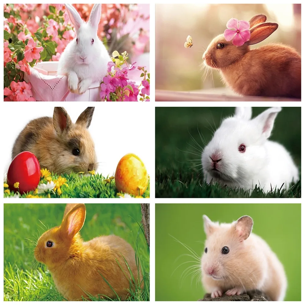 DIY животное 5d алмазная краска наборы милый кролик алмазное искусство полная