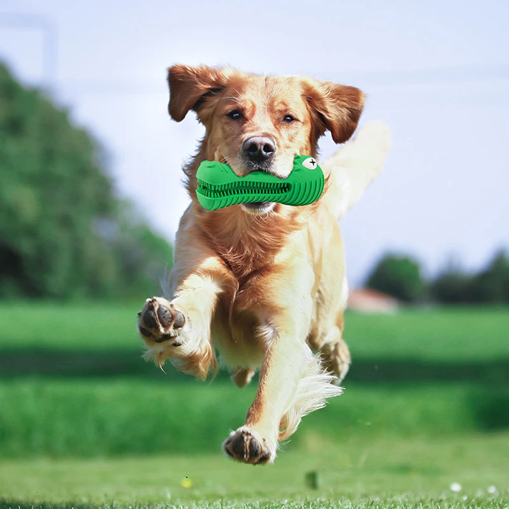 

Pet Products New Vocal Crocodile Dog Toy Rubber Molar Cleaning Stick Dog Toothbrush