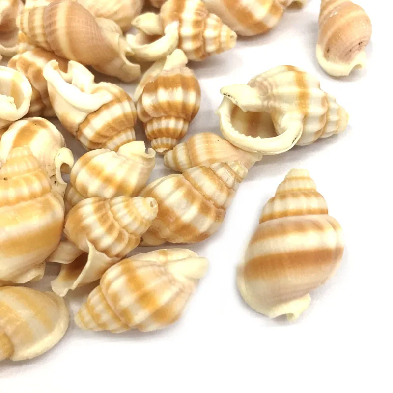 Подвески в полоску из натурального раковины для самостоятельного изготовления