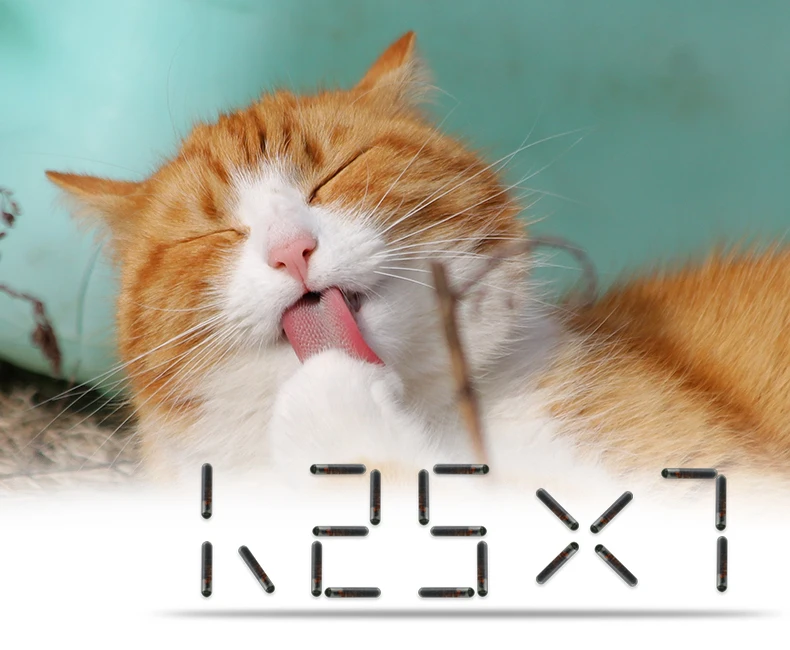10 шт./лот) 1,25*7 мм/1,4x8 мм/2,12x12 мм rfid стеклянная метка для животных домашних животных трубка RFID FDX-B 134,2 кГц EM4304 идентификационный микрочип для домашних животных