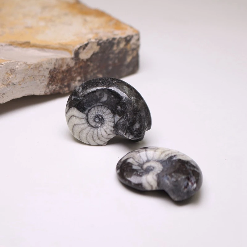 Натуральный Восстанавливающий марокканский камень 2 5 3 8 см 1 шт.|Статуэтки и