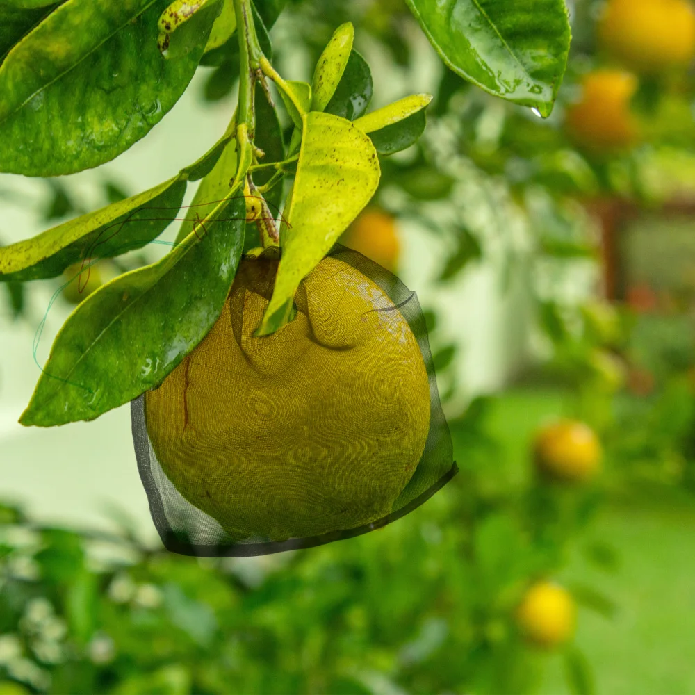 

50Pcs Nylon Orchard Fruit Mesh Bags Fruit Mesh Bags Drawstring Fruit Bags