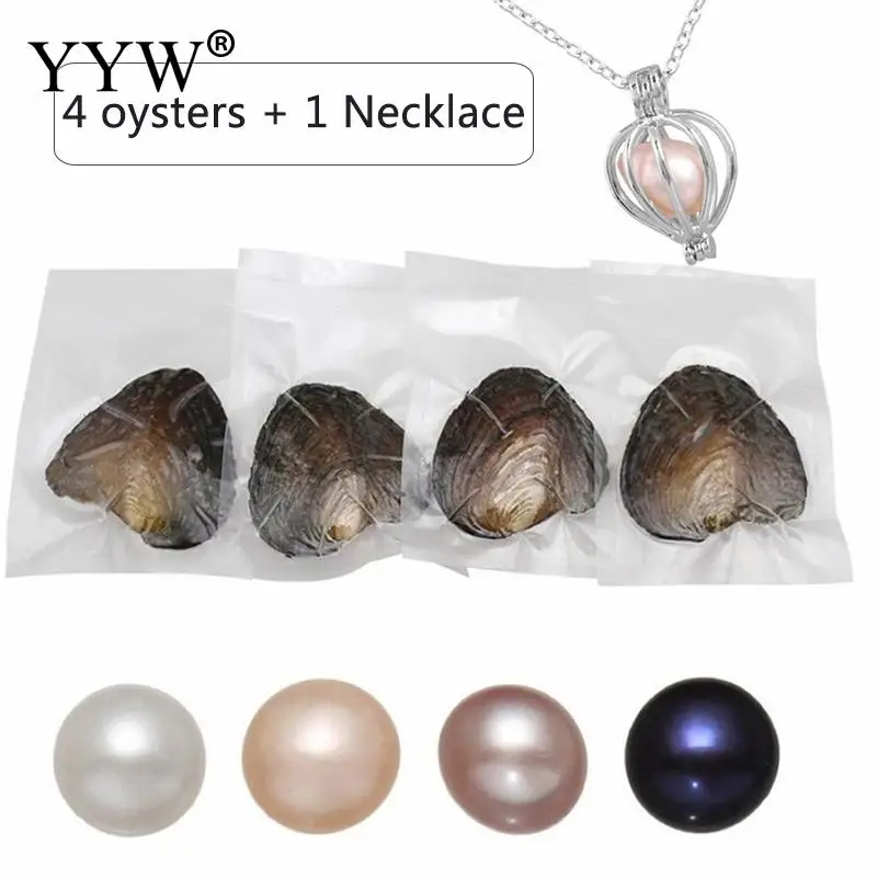 

4 шт. пакет, смешанные жемчужные Oysters с картофелем 7-8 мм, набор с жемчужинами Love Wish, рождественский подарок, набор из пресноводного жемчуга и ...