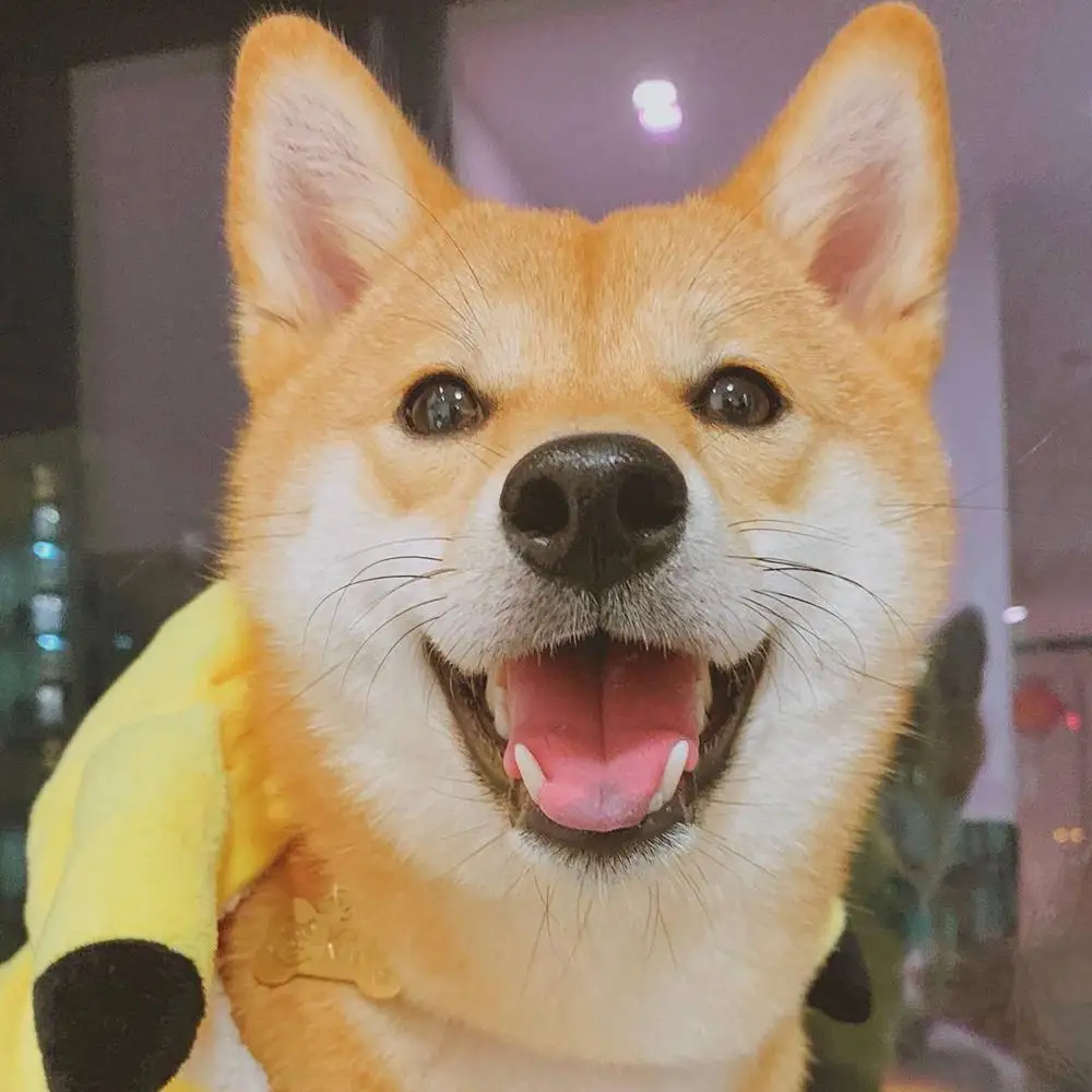 Заказ | Спорт и развлечения