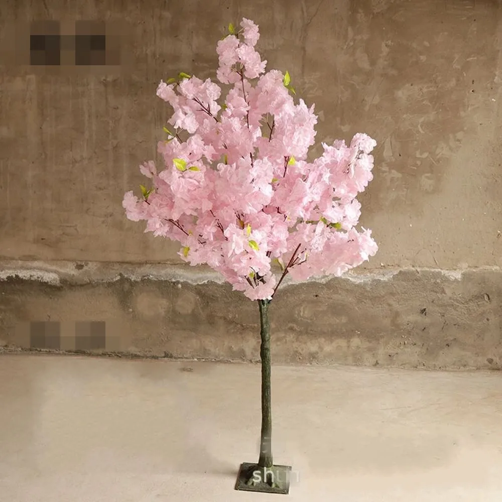Pink Cherry Blossom Tree 1.8m Height 