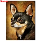 Алмазная живопись сделай сам 5D алмазная круглая алмазная живопись вышивка крестиком наборы для чихуахуа с собакой Алмазная вышивка круглые квадратные Стразы